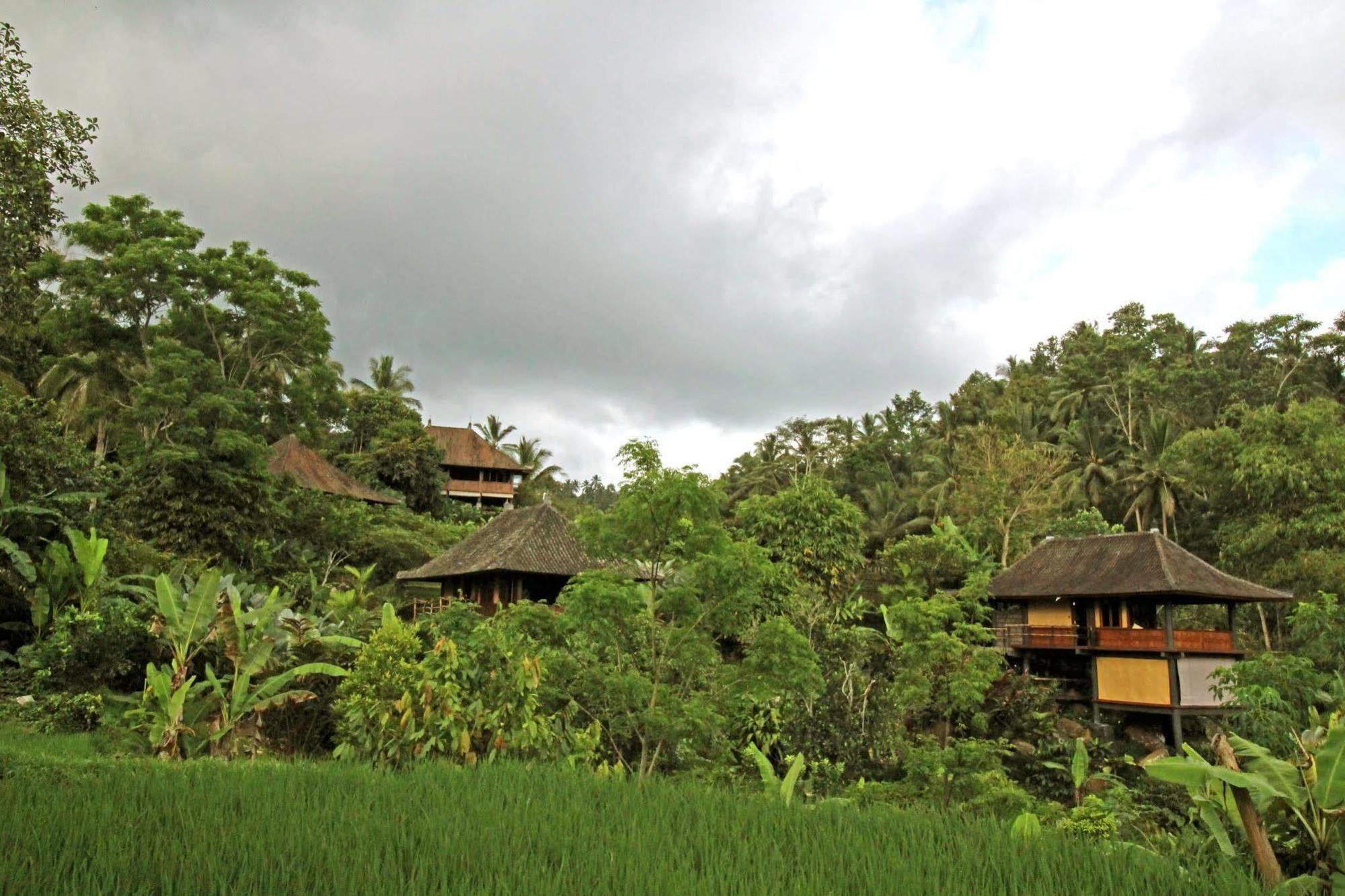 Bali Eco Stay Eksteriør bilde